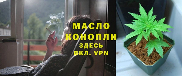индика Покровск
