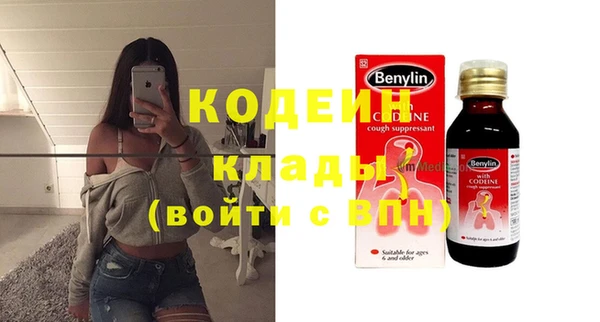 гидра Покачи