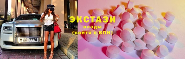 гидра Покачи