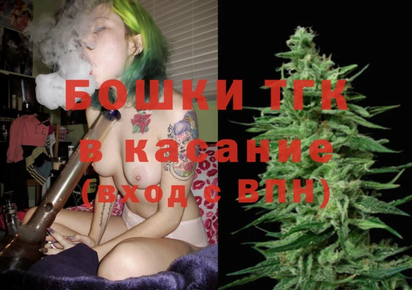 гидра Покачи