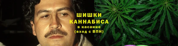 гидра Покачи
