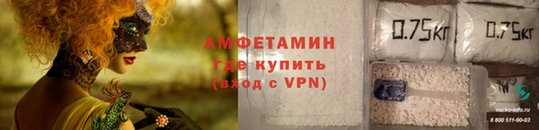 гидра Покачи
