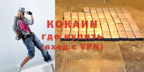 гидра Покачи