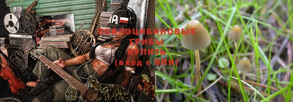 гидра Покачи