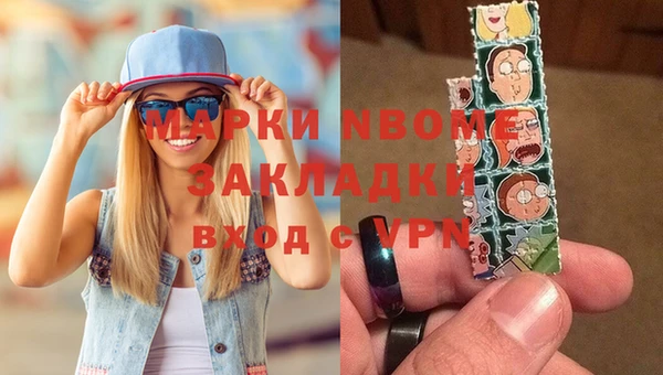 гидра Покачи