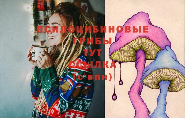 индика Покровск