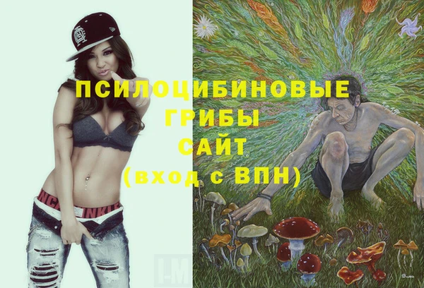 индика Покровск