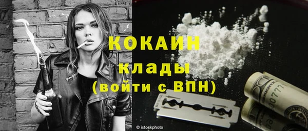 гидра Покачи