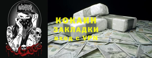 гидра Покачи