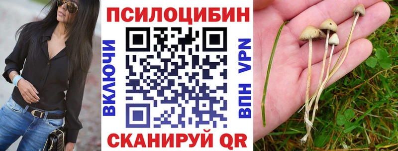 Псилоцибиновые грибы прущие грибы  наркота  Энем 